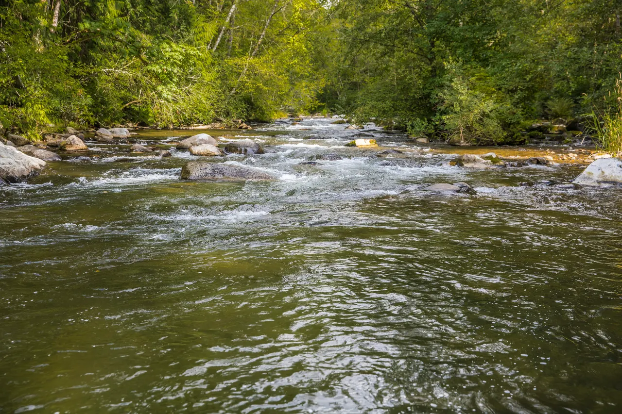 Davidson's Pool in Maple Ridge, British Columbia.